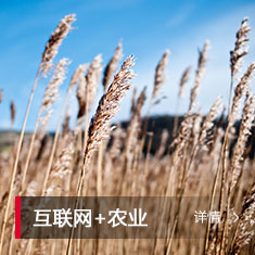 中国·88858cc永利(股份)有限公司-官方网站