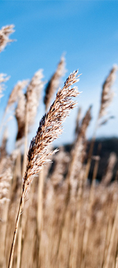 中国·88858cc永利(股份)有限公司-官方网站