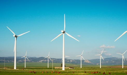 中国·88858cc永利(股份)有限公司-官方网站